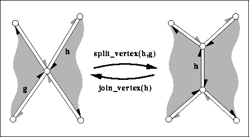 euler_vertex.png