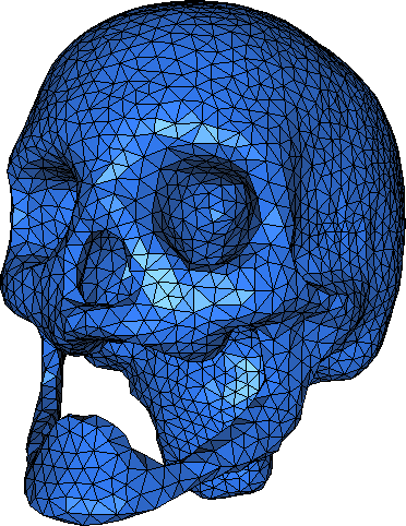 skull-surface.png
