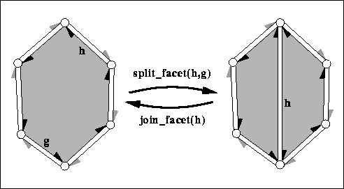 euler_facet.png