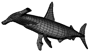 shark.png