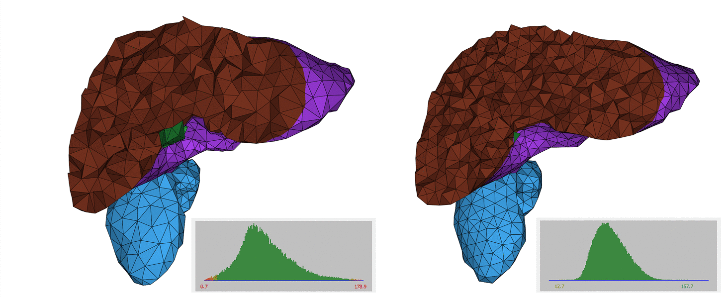 tetrahedral_remeshing_before_after.png