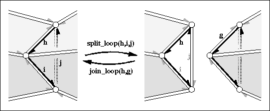 Euler Operator: Loop