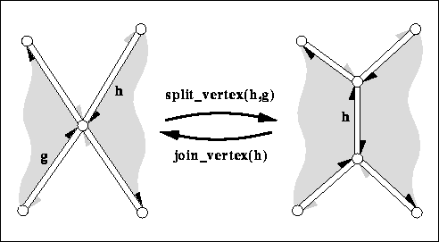 Euler Operator: Vertex