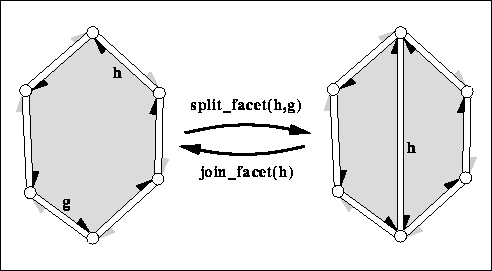 Euler Operator: Facet